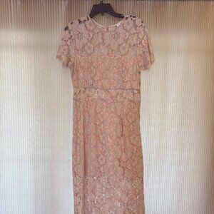 NSR, Medium, Formal, knee high, Peach lace dress